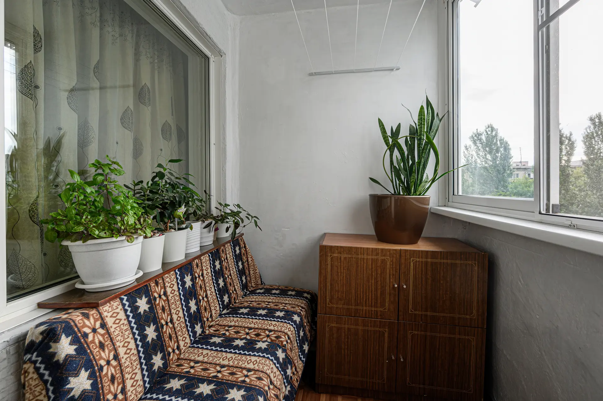 shutterstock_2635209433